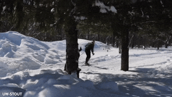Cross Country Skiing Snow GIF by University of Wisconsin-Stout