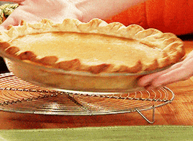 pumpkin pie GIF