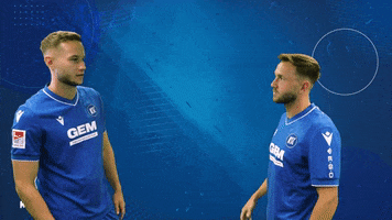 Football Friends GIF by Karlsruher SC