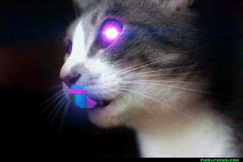 Acid Dreams Kitty GIF - Find & Share on GIPHY