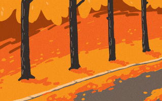 Autumn Осень GIF