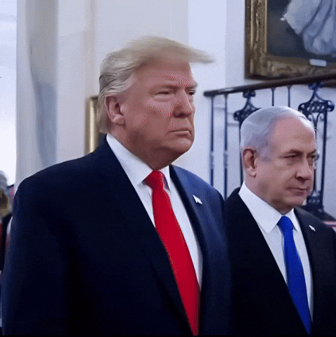 Donald Trump Love GIF