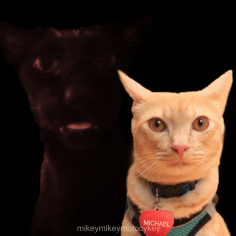 Scared Horror GIF