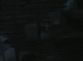 Its Always Sunny In Philadelphia Yes GIF