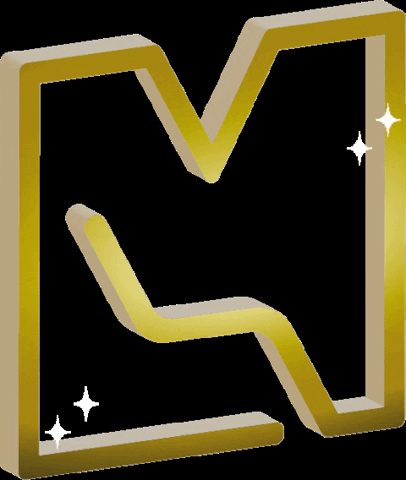 vincenzomastrolonardo GIF