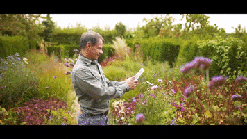 Gardify GIFs Find & Share on GIPHY