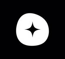 deblank logo star sparkle deblank GIF