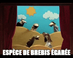 whiteraven  GIF