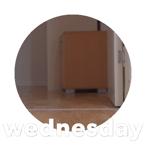 Wednesday Hump Day Sticker By Sealed With A GIF