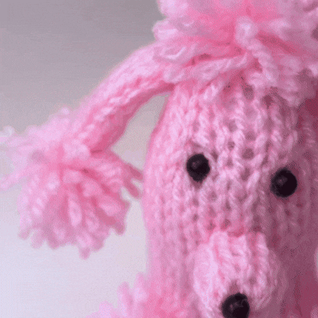 Chocolate Orange Cute Dog GIF by TeaCosyFolk