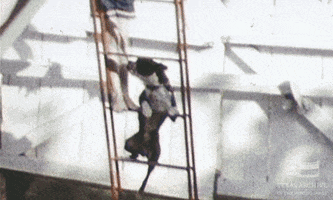 home movie dog GIF by Texas Archive of the Moving Image