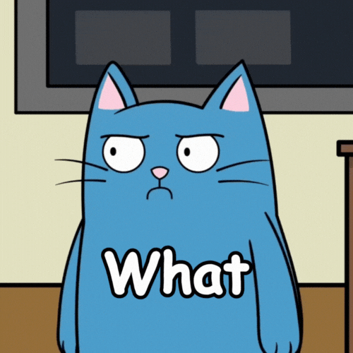 Blue Cat What GIF