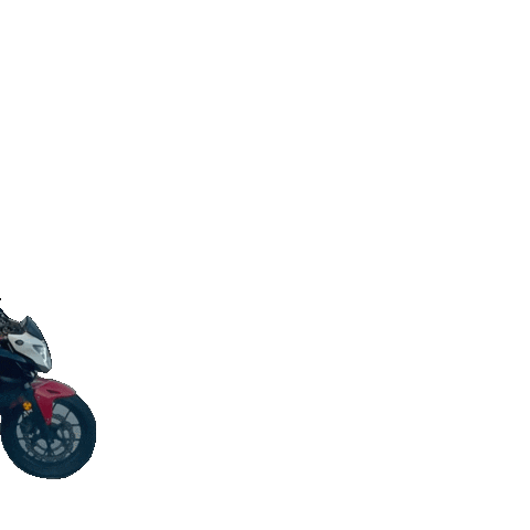 Motorcycle Sticker