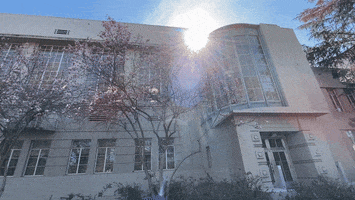 Shields Library Sun GIF by UC Davis