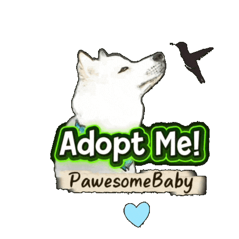 Adopt Me Sticker by PawesomeBaby