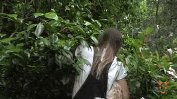 Escape Jungle GIF by The Goat Agency