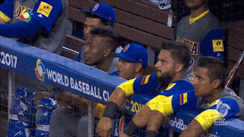 colombia celebrates GIF by MLB