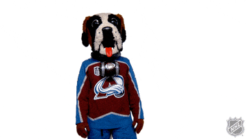 Watching You Colorado Avalanche GIF by NHL