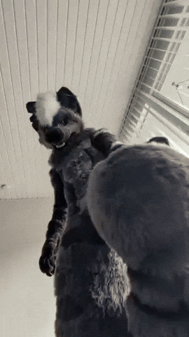 Furry GIF
