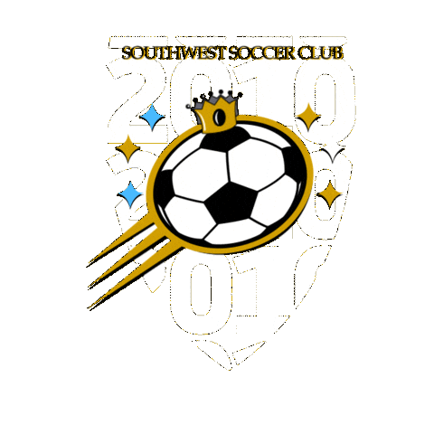 2010 Sticker by Southwest Soccer Club