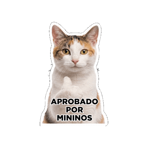 Seguroesporminino Sticker by Minino Plus®
