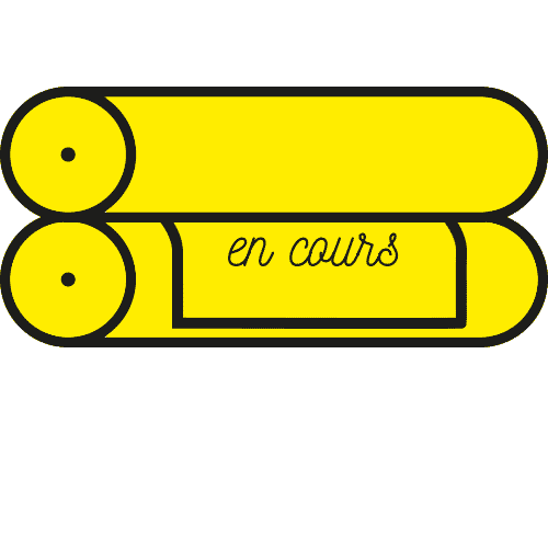 C'est Mon Disque Sticker