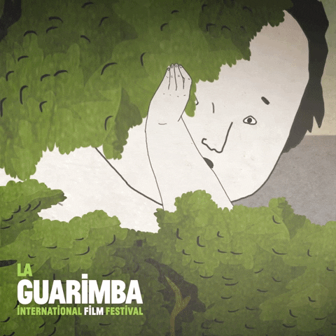 Peek-A-Boo Reaction GIF by La Guarimba Film Festival