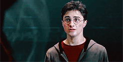 harry potter and the order of the phoenix
