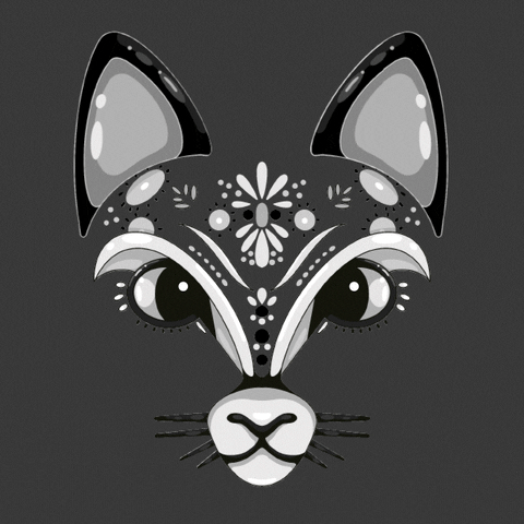 Cat Kitty GIF by animalz