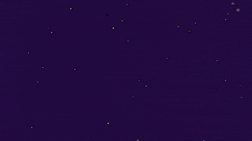Simpsons GIF