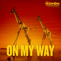 The Lion King GIF by Disney On Broadway