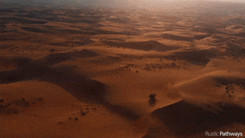 Adventure Desert GIF by Rustic Pathways