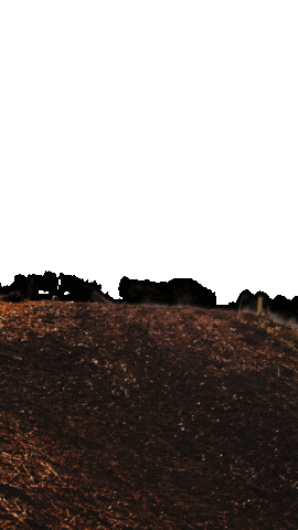 Dune Sticker by Mondraker