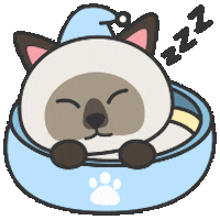 睡覺 Sticker