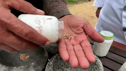 Animated GIF - Find & Share on GIPHY