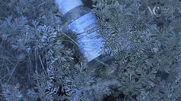 Vedov Clinic GIF