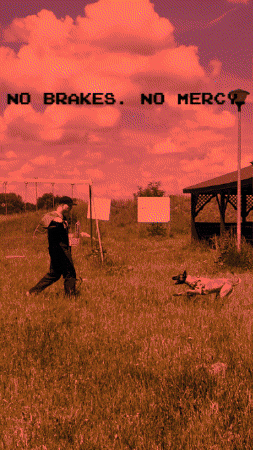 Dog Puppy GIF