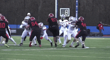 Shfootball GIF