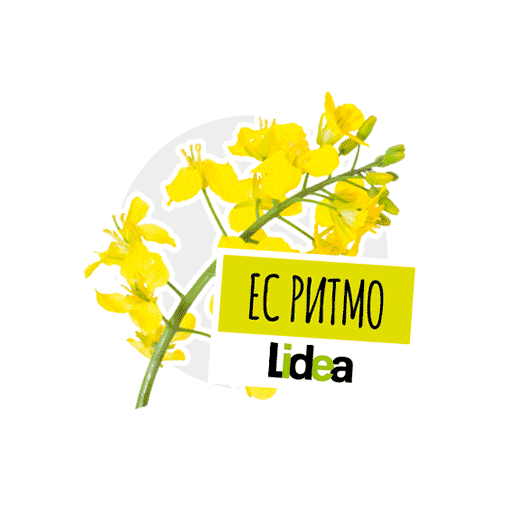 Lidea Seeds Sticker