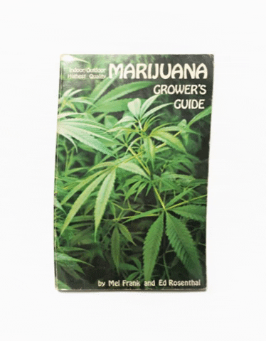 Cannabis GIF