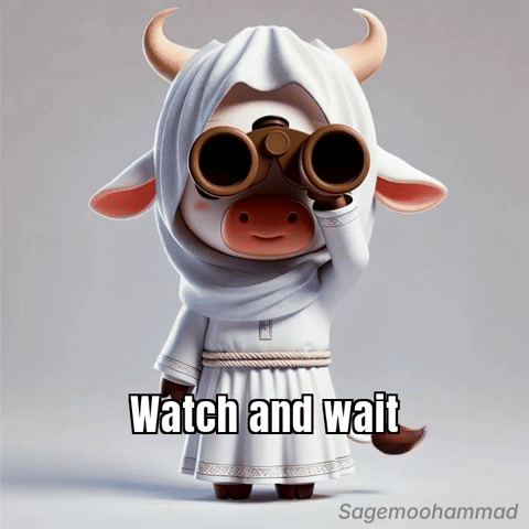 Watch Observe GIF by Sagemoohammad