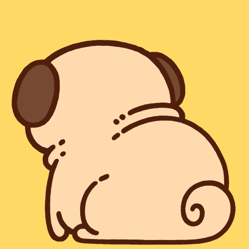 Shock Say What GIF by Puglie Pug