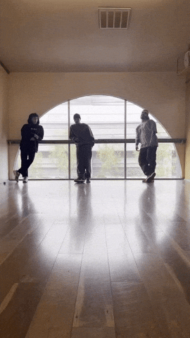 GIF by bmaisca