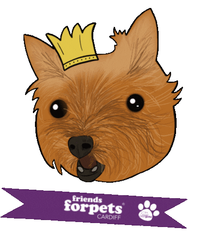 Friends For Pets Cardiff Sticker