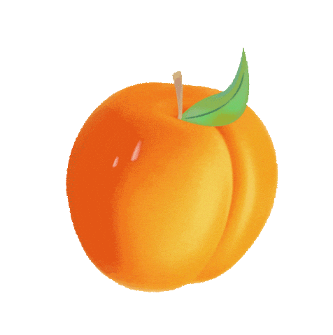 Sudan Sudanfiesta Sticker by colordelsol