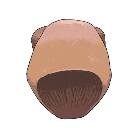 Bird Sticker