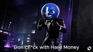 Martial Arts Crypto GIF by LitVM