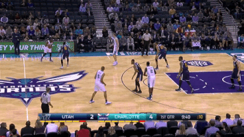 fazzettino  GIF