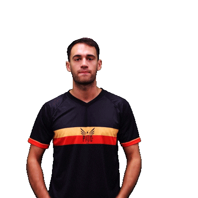 France Sport Sticker by PAUC Handball