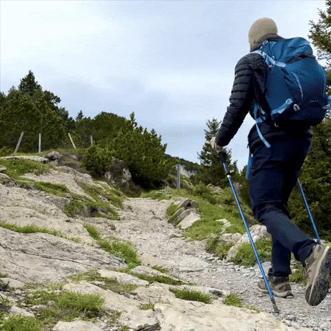Relaxing Walking Away GIF